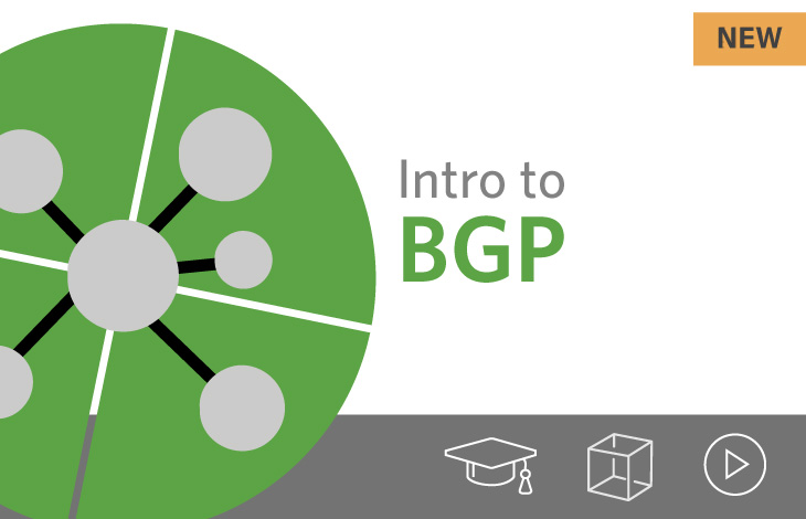 Introduction to BGP course image